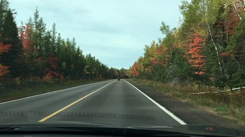 Driving in the Fall 2 Vidéo 89989952