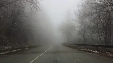 Driving in fall fog Stock Footage 98532575
