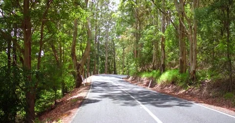 Driving fast in hinterland POV Stock Footage 72606702