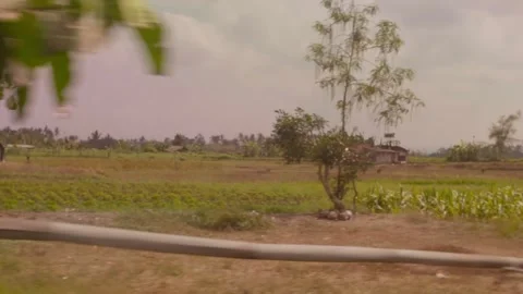 Driving By Fields in Bali, Indonesia Stock Footage 333819571