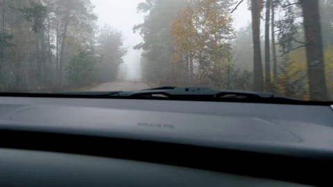 Driving in the fog Stock Footage 127785291