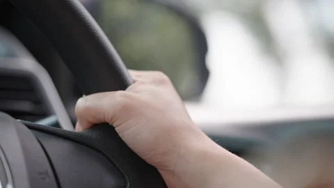 Driving Stock Footage 163683866