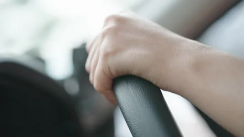 Driving Stock Footage 163683893