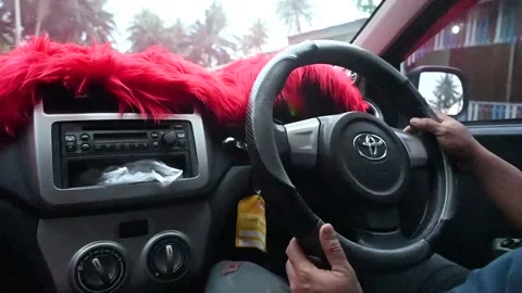 Driving Stock Footage 223852090