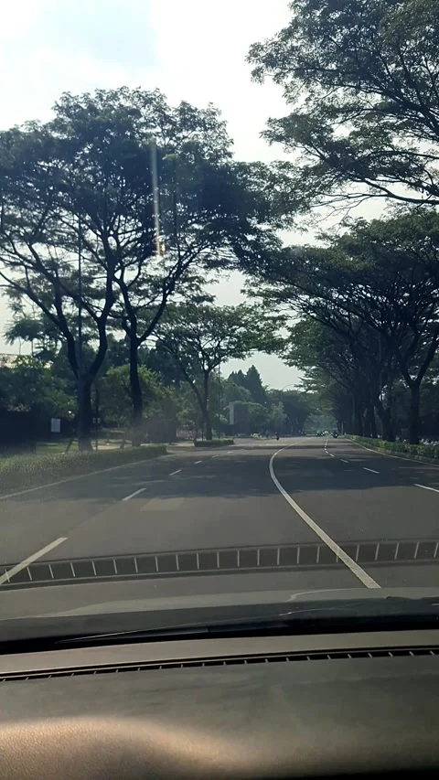 Driving Stock Footage 323322812