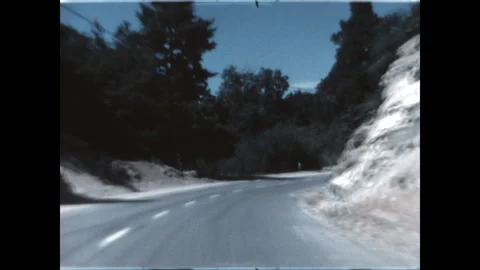 Driving in the Forest 1968 Stock Footage 265031530
