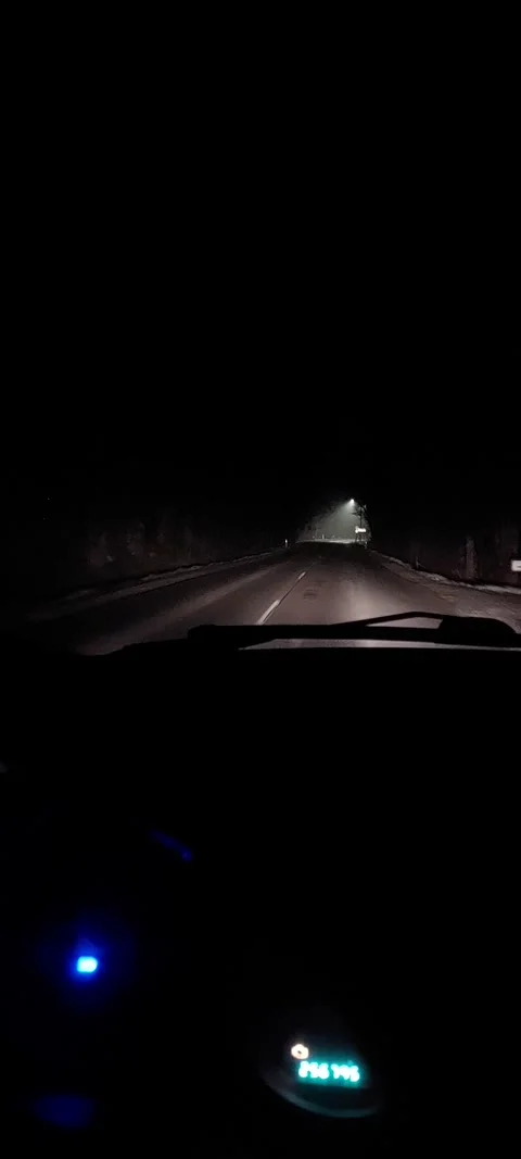 Driving in the forest with headlights on Stock Footage 308114630