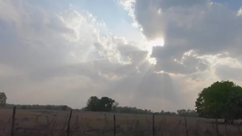 Driving in the forest with open sky in Kanha Tiger Reserve Stock Footage 145262097