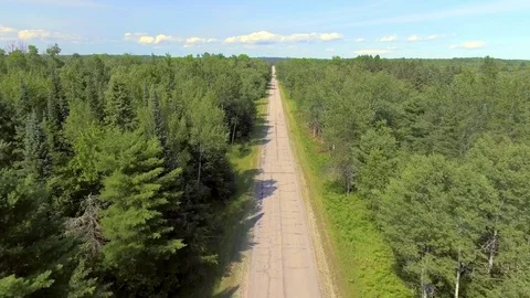 Driving in Forest to Reveal Forest Canopy Stock Footage 75872861