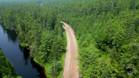 Driving in the Forest on the riverside over bridge Stock Footage 266299646