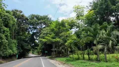 Driving on a forest road and passing traffic signs Stock Footage 342570171