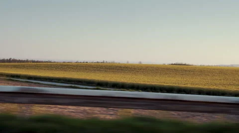 Driving on a Forest Road Stock Footage 49473375