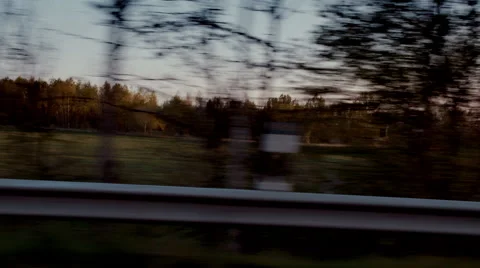 Driving on a Forest Road 库存影片 49473677