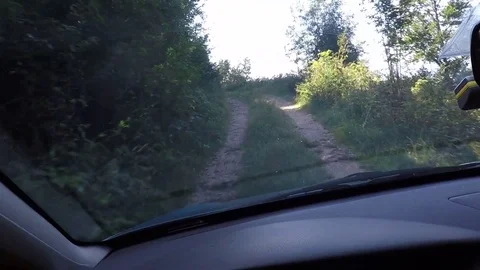 Driving on Forest Road Video stock 79365737