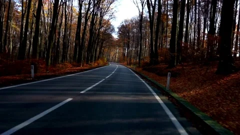 Driving on a forest road Stockbeeldmateriaal 330953146
