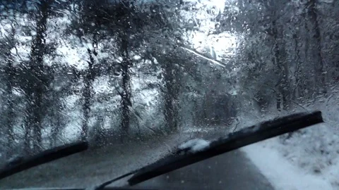 Driving in forest in snow Stock Footage 122224916