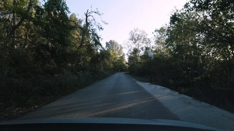 Driving in forest sunset Stock Footage 128858931
