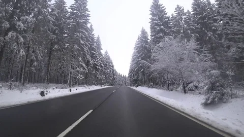Driving in a forest in winter Video stock 87865280