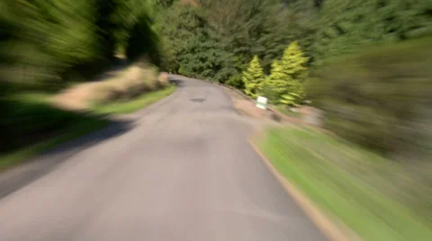 Driving Forested Road Stock Footage 31983633