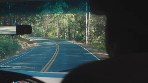 Driving in a forrest from back seat of a car point of view 2 Video stock 103752550