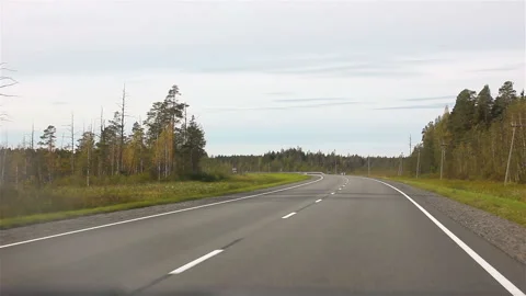 Driving on the freeway by car through the forest in summer. Vídeo Stock 99929851