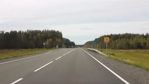 Driving on the freeway by car through the forest in summer. Stock-Footage 99929947
