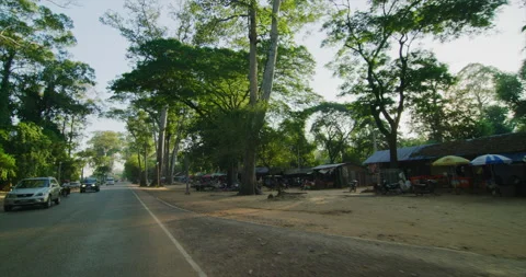 Driving Gimbal Shot Of Trees Through Angkor, Siem Reap, Cambodia Stock Footage 151178189