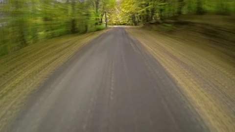 Driving in the gorgeous forest at autumn. Timelapse Stock Footage 80233178