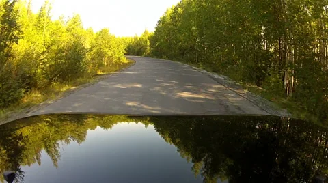 Driving on a highway along the forest Stock Footage 37881872