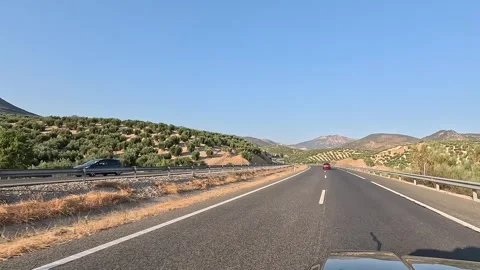 Driving on a highway between olive groves Stock Footage 283865613