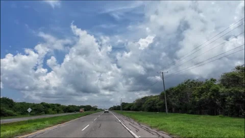 Driving Highway Lined with Dense Green Vegetation 库存影片 341368947