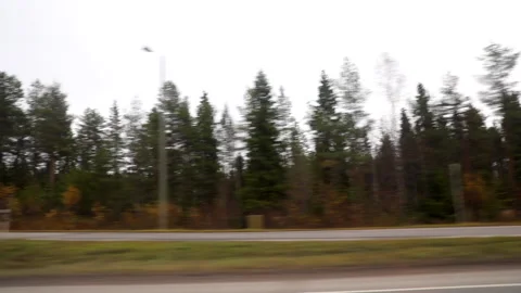 Driving On Highway Showing Trees &amp; Forest . Stock Footage 145841387