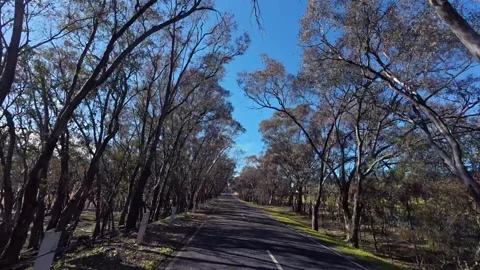 Driving Hyperlapse - Murray River Road - Talgarno Stock Footage 332105726