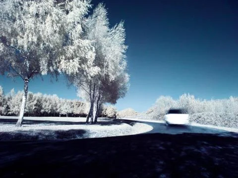 Driving in infrared 스톡 사진