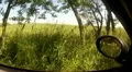Driving inside a car on a country road (camera car) HD Footage