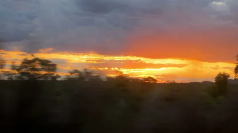 Driving interstate road, passenger POV, side window, Brazil Stock Footage 221190490