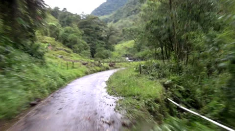Driving in a Jungle, Trees, Dirt Roads, Jeeping Stock Footage