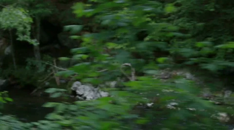 Driving kayak Stock Footage 735115