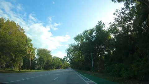 Driving in Key Biscayne at sunset through tropical palm lined road Stock Footage 345160663