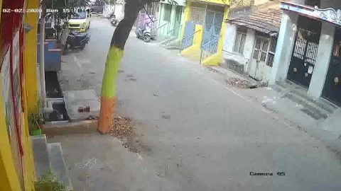 Driving lesson gone wrong: Young learner accidentally accelerates and crashes Stock Footage 272888077