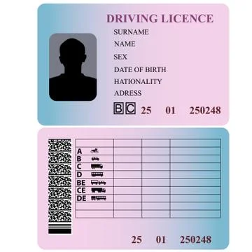 Driving license. Stock Illustration