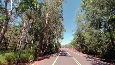 Driving - Litchfield Park Rd NT 01 Stock Footage 331685648