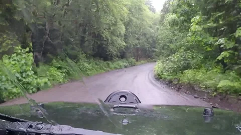 Driving logging road in the rain Stock Footage 172458373