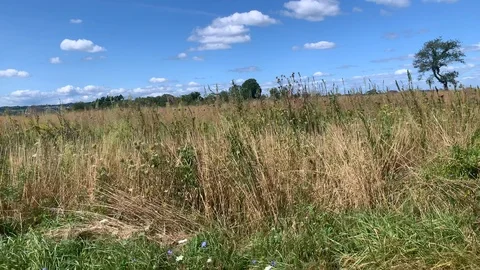 Driving by looking out window seeing a farm fence - Rhode Island Video stock 115919801