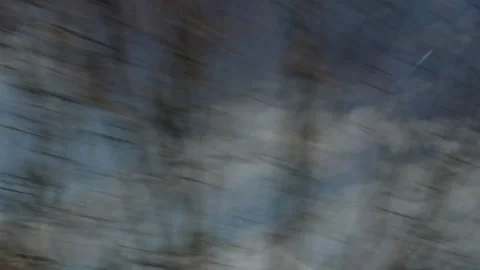 Driving looking out window at trees and blue sky passing by Stock Footage 347181822