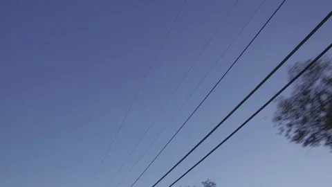 Driving Looking Up At Power Lines, Telephone Poles and Trees Stock Footage