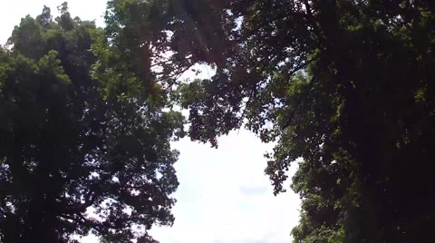 Driving looking at the sky Vídeos de archivo 52297804