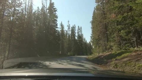 Driving in the middle of forest, Oregon Nature - 4K Dash camera view Video stock 239492262
