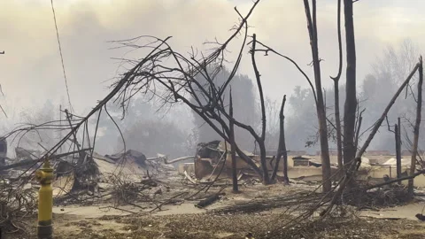 Driving in middle of scorched homes, fire outcome in Pacific Palisades, LA Video stock 305125323