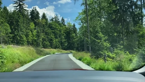 Driving on mountain forest road with bright green trees and blue sky. trave.. Stock Footage 313662967